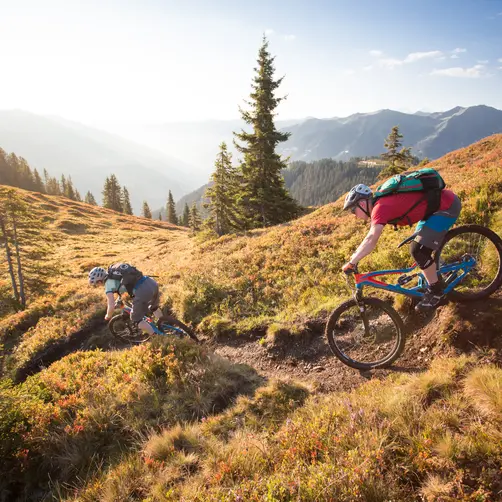 Zwei Downhillbiker in den Bergen