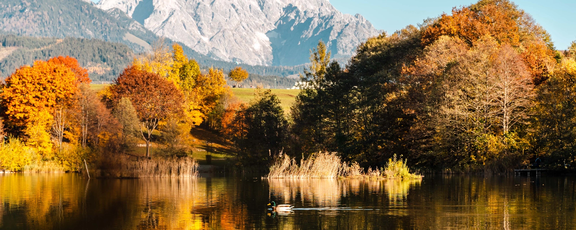 Farbenfroher Herbst - Ritzensee © Saalfelden Leogang Touristik / Michael Geißler